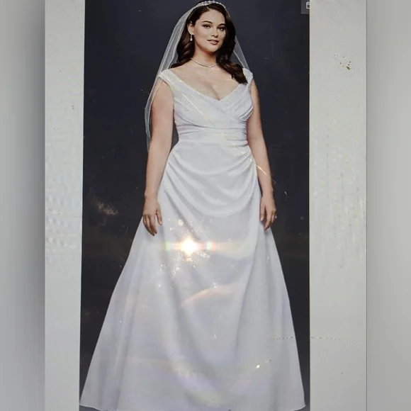 Wedding Dress - Picture 4 of 6